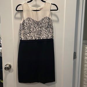 NWT LOFT Filigree Lace Print Bodice Dress Black White 4